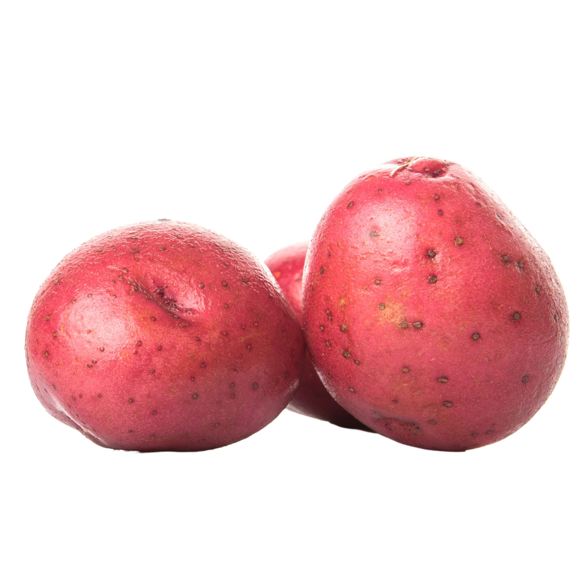 Organic Seed Potatoes - Red Pontiac - 5 Lbs - Solanum tuberosum - Live Potato Sets for Spring Planting - Non-GMO, Hybrid Potatoe